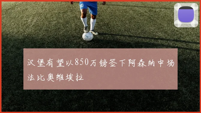 汉堡有望以850万镑签下阿森纳中场法比奥维埃拉